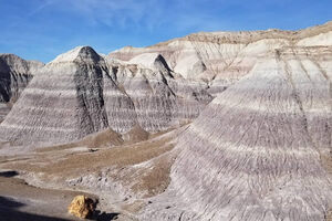 Petrified Forest National Park